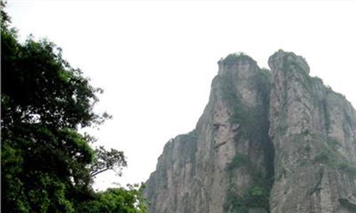 雁荡山高度 第五届雁荡山铁皮石斛文化节在杭州举行