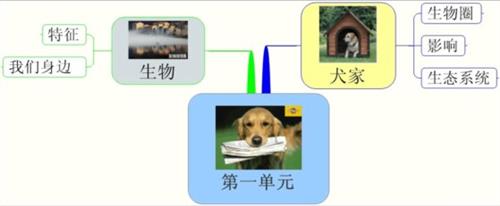 韩立福的复习课型 复习课课型高效教学的基本模式研究