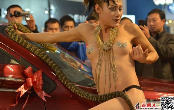 贵阳汽车文化节上演“裸女吞蛇”【图】