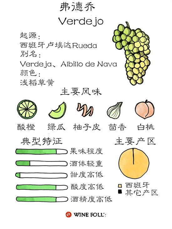 弗德乔：西班牙的“非主流”白葡萄品种