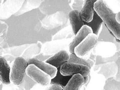 张天宇身份证 张天宇小组证明结核菌对恶唑烷酮类药物抗性