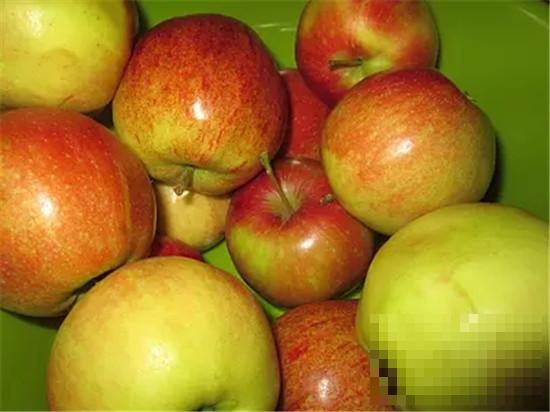 红玉苹果的营养价值 益脾止泻的功效