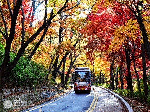 韩国不再只是代购 这10个著名旅游景点你去过吗