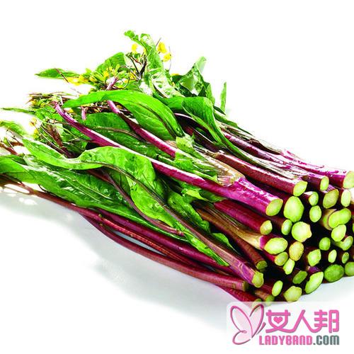 红菜苔的功效与作用及食用方法_红菜苔的营养价值