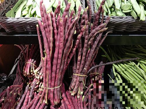 >紫红豇豆的营养与价值