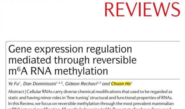 >何川nature 何川教授Nature Cell子刊解析表观遗传学