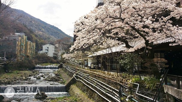 >这些亚洲热门旅游地的冷门景点你一定没去过