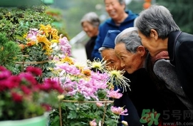 重阳节是什么节日？重阳节是鬼节吗？