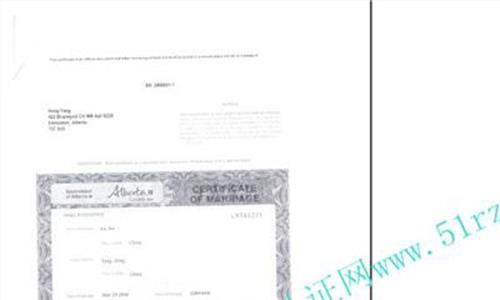 结婚证字母 结婚证上的字母代表什么