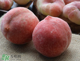 水蜜桃和毛桃是同一种吗?​毛桃和水蜜桃的区别