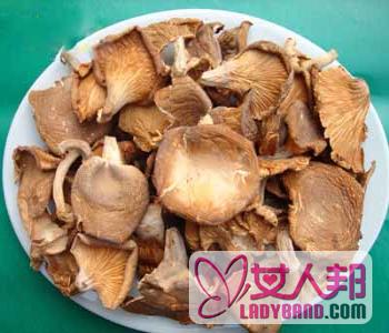 【鲍鱼菇的营养价值】鲍鱼菇的功效和作用_鲍鱼菇的食用禁忌