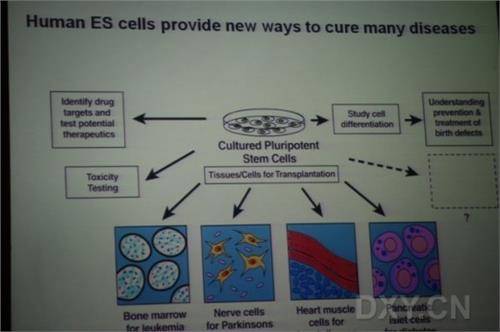 Cell Res:北大邓宏魁再发干细胞新翻开