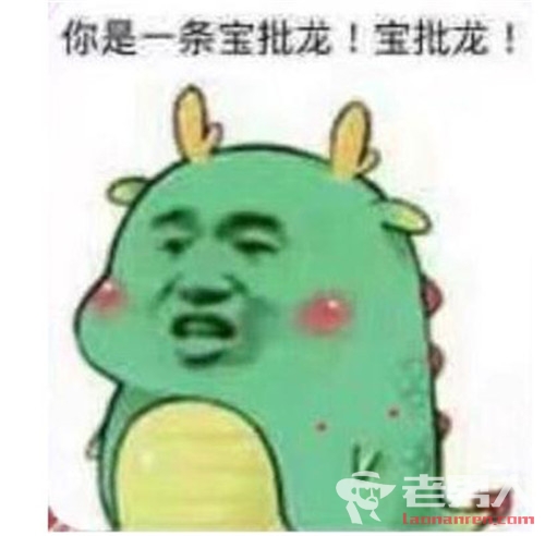 >猪儿虫形容人是什么意思 表情包大全