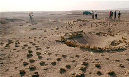 >罗布泊旅游攻略 罗布泊野骆驼保护区严禁开展旅游探险活动
