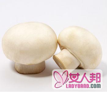 【白蘑菇怎么洗】白蘑菇的功效_白蘑菇的做法