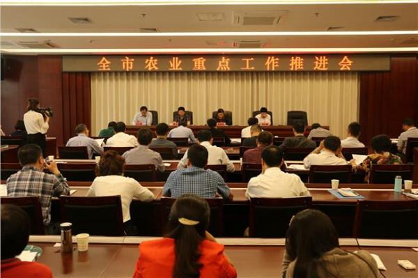 >王昌荣三农讲话 在2015年全市三农工作推进会上的讲话