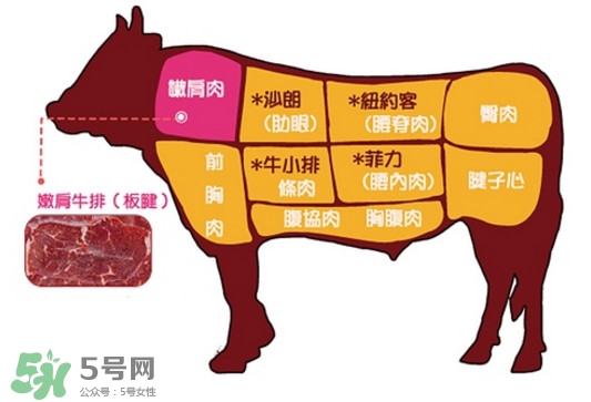 牛排是牛的哪个部位？牛排是牛身上哪块肉？