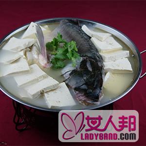 【鱼头豆腐汤的做法】鱼头豆腐汤的家常做法_鱼头豆腐汤的功效