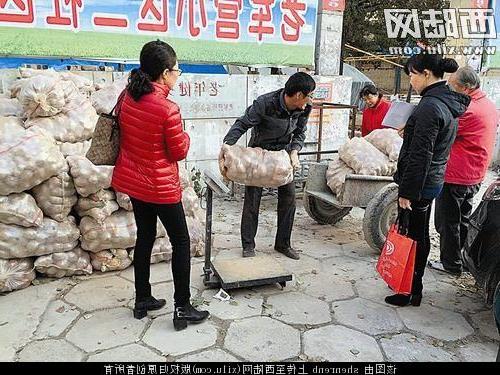 土豆哥杨正超 土豆土豆 八毛一斤娄烦“土豆哥”再次来小区