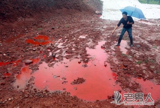 河南汝阳河道被染红：疑因大雨致染料厂废水渗出
