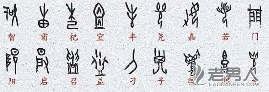 中国甲骨文发现34个新字和新字形