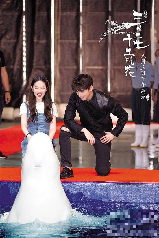刘亦菲杨洋与白鲸亲密互动 白鲸献吻"白浅"萌态十足