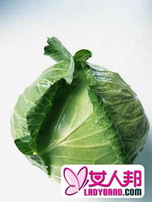 吃卷心菜减肥 7天减10斤