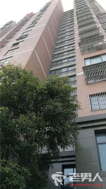 >杭州六岁女孩凌晨坠下15楼 疑似爬窗户看星星所致