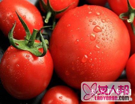 鸡蛋西红柿减肥法