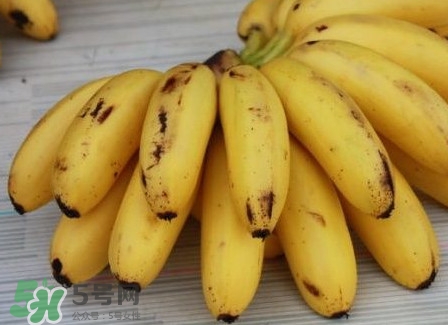 >小米蕉一天吃多少合适？小米蕉的食用禁忌有哪些