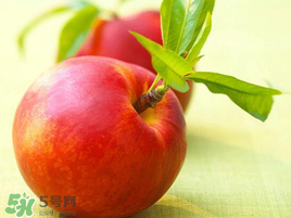 油桃没熟能吃吗？油桃怎么催熟？