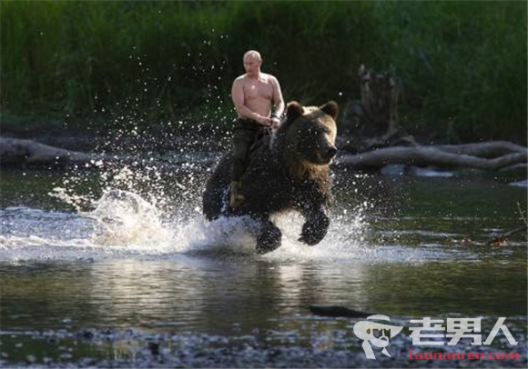 普京回应骑熊照：从来没有骑过熊