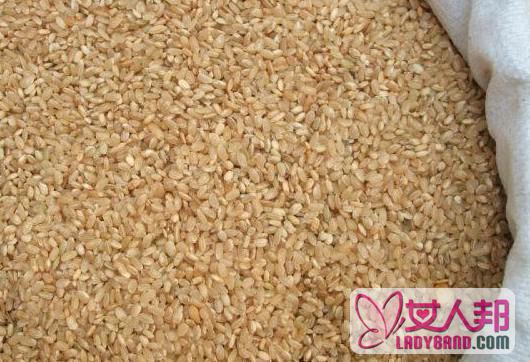 >素食营养：揭秘大米中的五大营养素