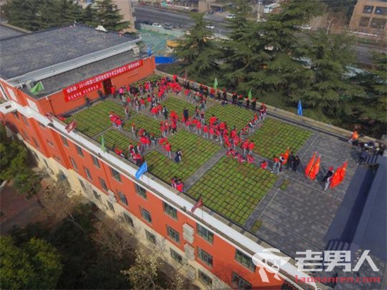 >郑州青少年楼顶植绿 将学校楼顶铺满绿植