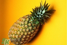 >过敏性鼻炎可以吃菠萝吗？过敏性鼻炎能不能吃菠萝？
