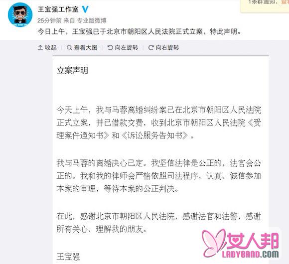 >王宝强起诉离婚再发声明表决心 网友：看来马蓉无力回天了