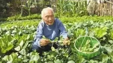 >老人常吃1种蔬菜 102岁拥有30岁器官