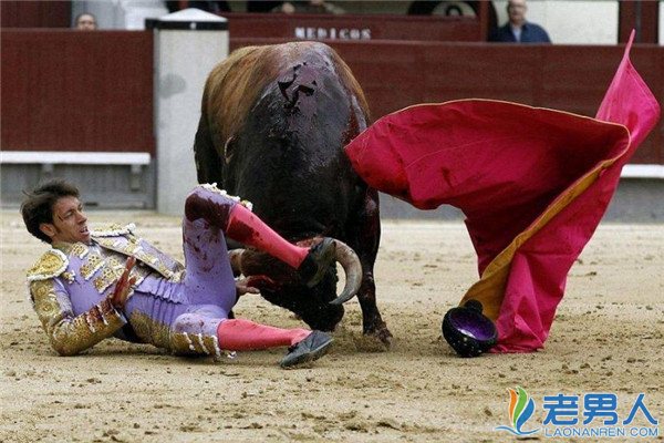 斗牛士被牛刺死 系30年来西班牙首例事件