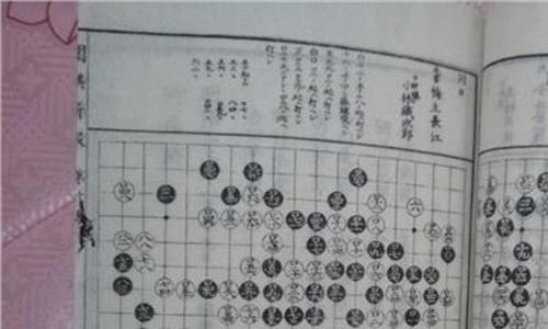 日本围棋名人战 9岁天才少女VS日本围棋第一人