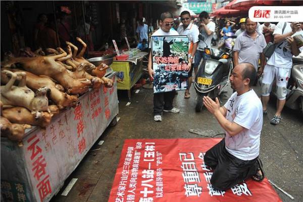 杨晓云被指骗捐 玉林救狗英雄被指骗捐 爱狗人士质疑其虐待动物