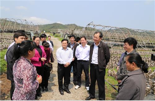 武汉王跃飞 王跃飞武宣调研强调:做好农民工职业培训及就业辅导工作