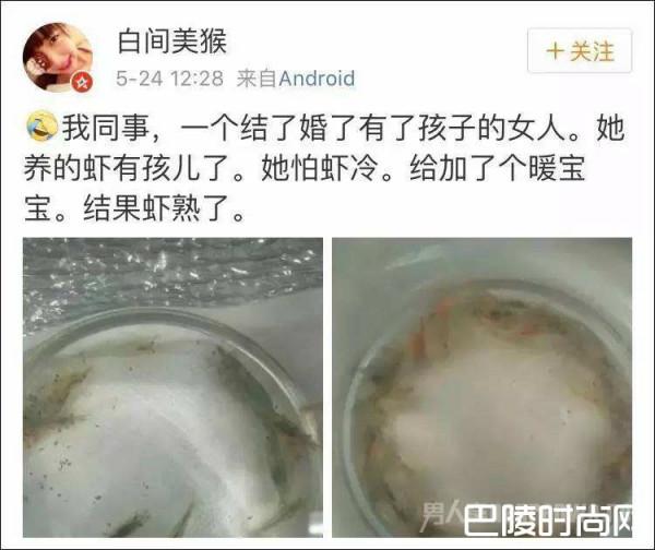 >怕虾冷垫上暖宝宝 网友：你感受到妈妈的热情了吗