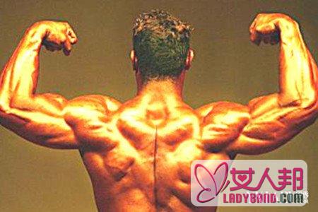 背部肌肉图解 盘点背部肌肉锻炼要注意7个问题