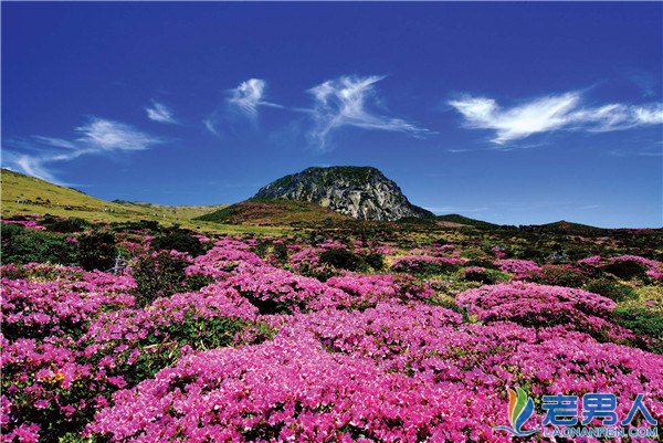 >济州岛旅游最佳季节是什么时候必去的景点有哪些