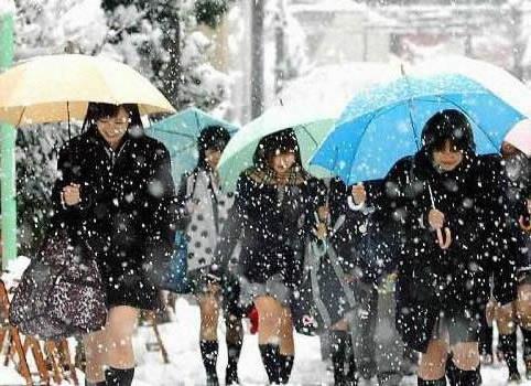 >解秘:日本女学生为何只穿短裙
