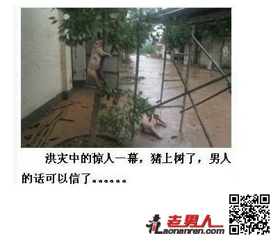 北京暴雨证明男人靠得住[图]