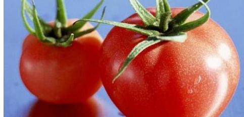 西红柿美容功效有哪些