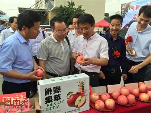 >陈建文福州市 耀州苹果登陆福州市场 市民在家门口尝到“中华名果”