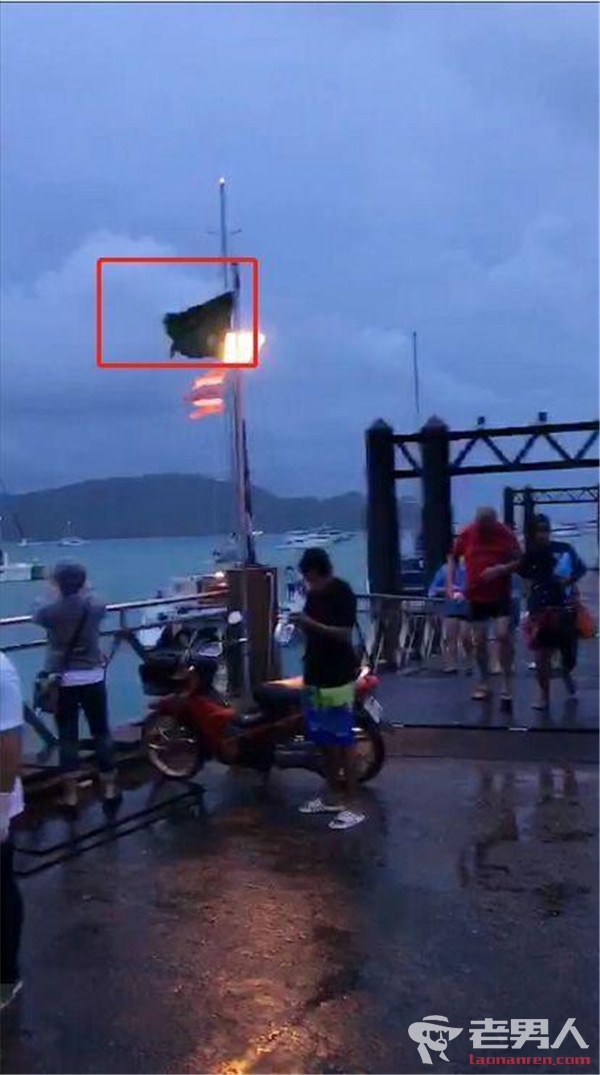 泰方回应普吉沉船码头挂绿旗 挂绿旗是什么含义