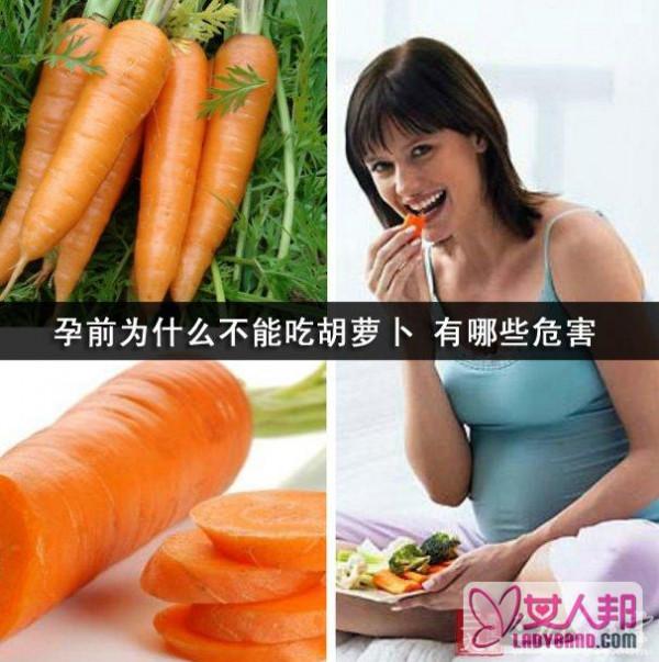 孕前为什么不能吃胡萝卜 有哪些危害